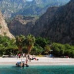 Butterfly-Valley