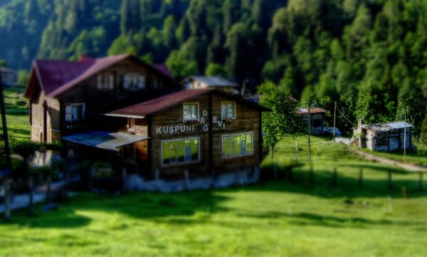 Hotel ayder plateau
