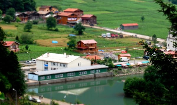 Uzungol