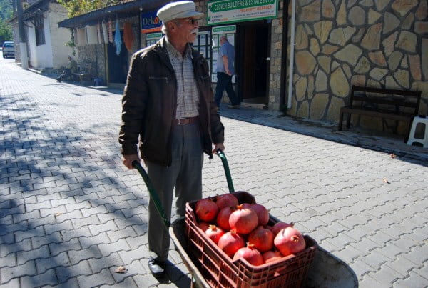 Fruit seller of Uzumlu